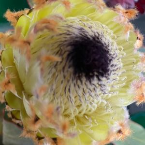 Meet your Posher, Enviro